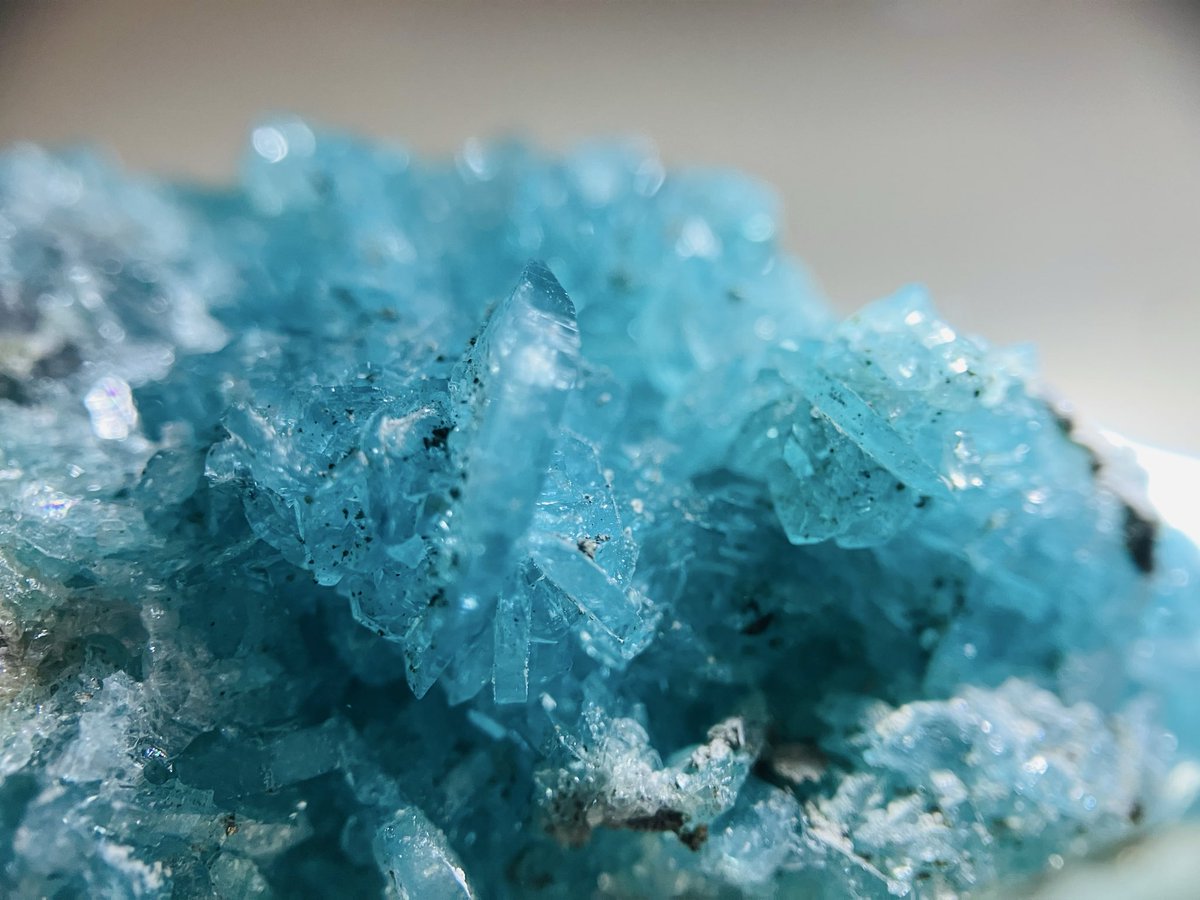 石処たっちゃん (@arcrk75977) / Posts / X