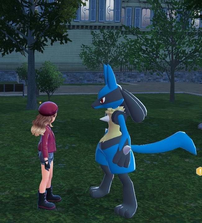 ぴのすけ🐾 (@p_n0suke) / Posts / X