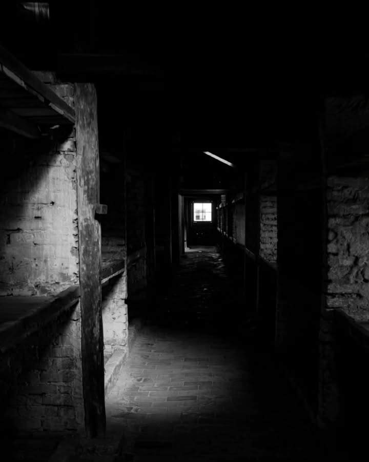📷 Inside a brick barracks for prisoners at Auschwitz II-Birkenau.

Watch a short film about the living conditions in that part of the camp: youtu.be/m0PGSIoCgKY

Sixty partitions, each with three levels of bunks, created 180 bunks, on each of which four people were to sleep.