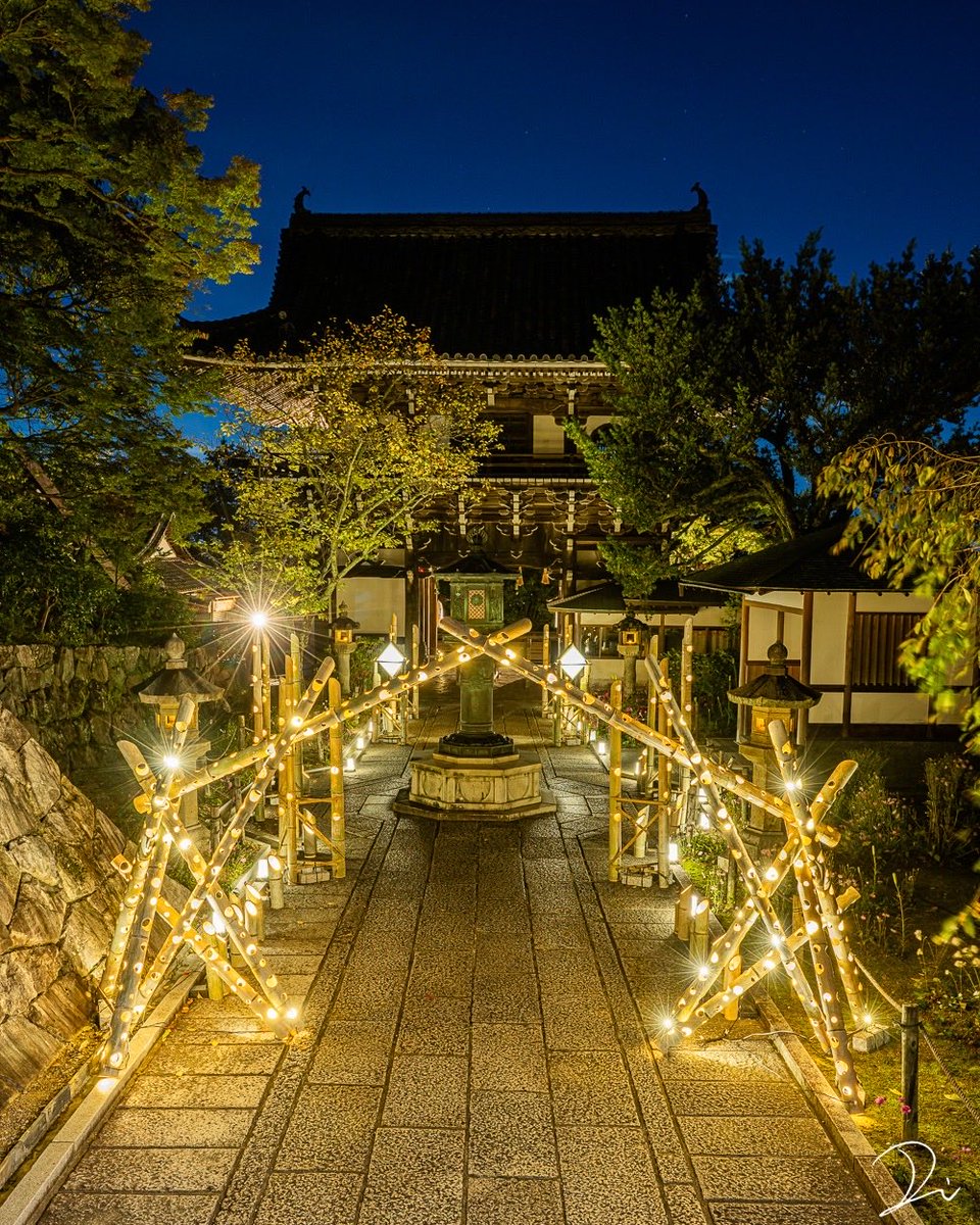 竹灯籠に照らされる善峯寺🎋