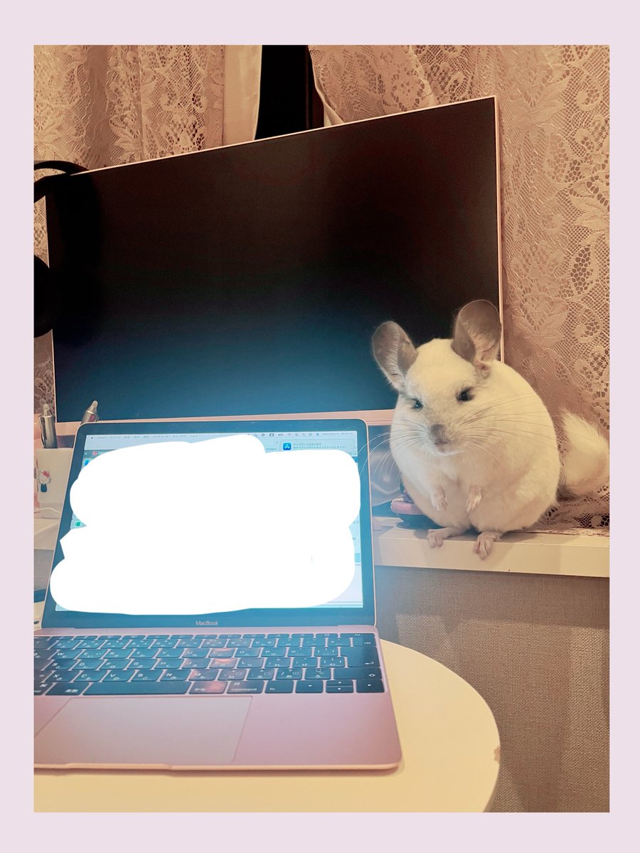 ぬいぐるみかな？キミは