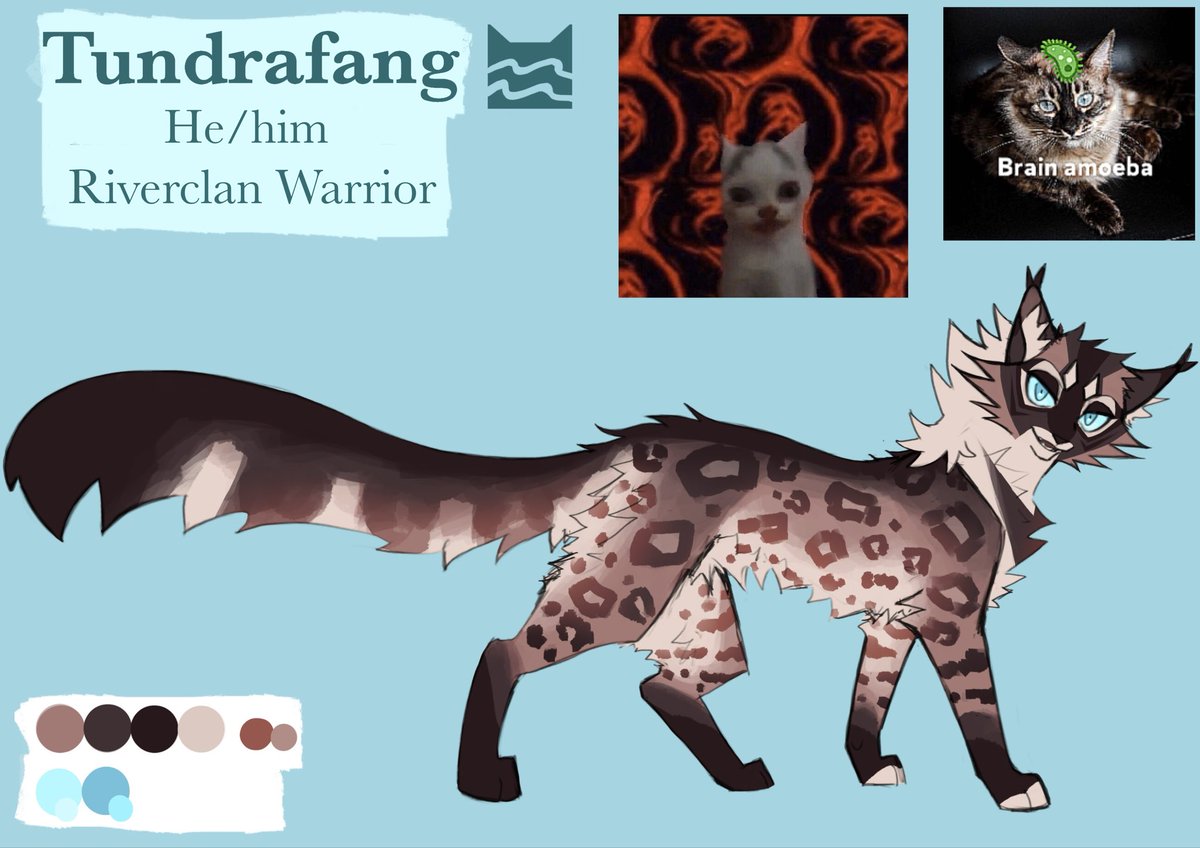 liggyaa's tweet image. Some of my Warrior Cats #ocs
#warriorcats #wcoc #oc #art