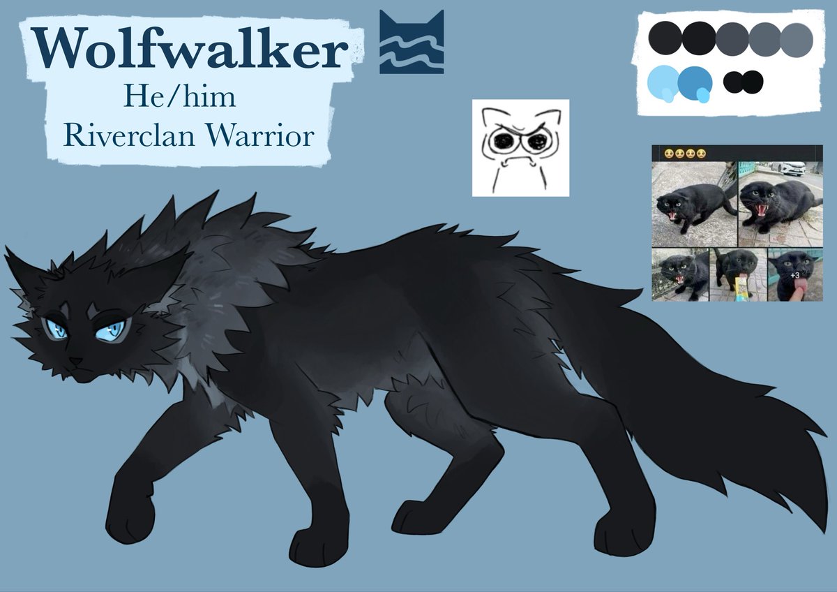 liggyaa's tweet image. Some of my Warrior Cats #ocs
#warriorcats #wcoc #oc #art