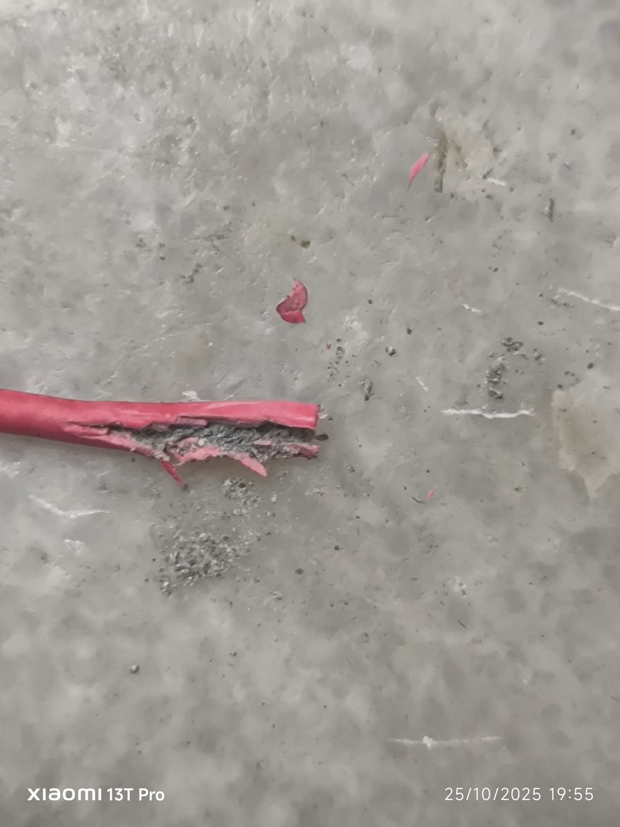 akfaisel's tweet photo. @PhilipsLightIND I purchased a 6-pack of Philips 20W SlimLine Next Tubelights (Feb 2023). 3 unused lights failed today — found broken soldering &amp; corrosion inside. Quite disappointing from such a reputed brand. Please check the attached photos &amp; respond. #Philips #Lighting https://t.co/7AtR5kbGwg