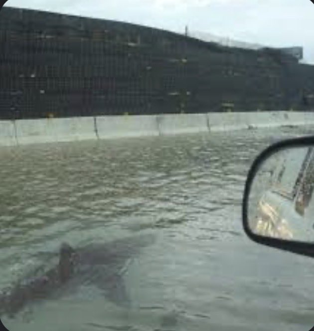 Downtown Bismarck #ndwx is getting wild. 

#Melissa