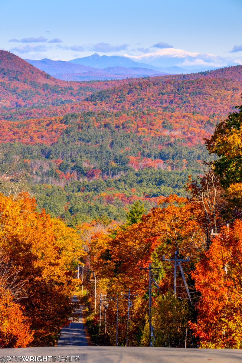 Rob Wright Images tweet media