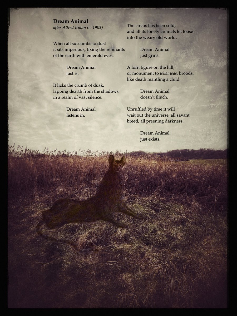 Paul Nash | Paul atten Ash tweet media