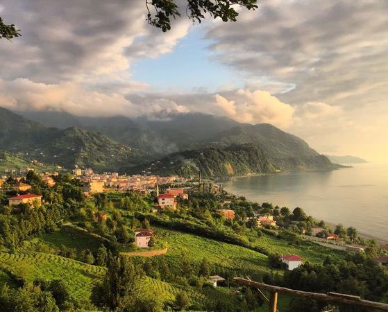 OkuneOrg's tweet image. ￼#Makriyal, #Hopa'nın 15km kuzeydoğusunda bir sahil beldesidir. Sözkökeni, ilk olarak 14. yüzyıl imparatorluk dönemi kayıtlarında görülen ve #Rumca "Uzun Sahil" anlamına gelen "MAKRİ ĞİALİ" isimlendirmesine dayanır. Bununla birlikte…&amp;gt;&amp;gt; tr.okune.org/wiki/index.php…