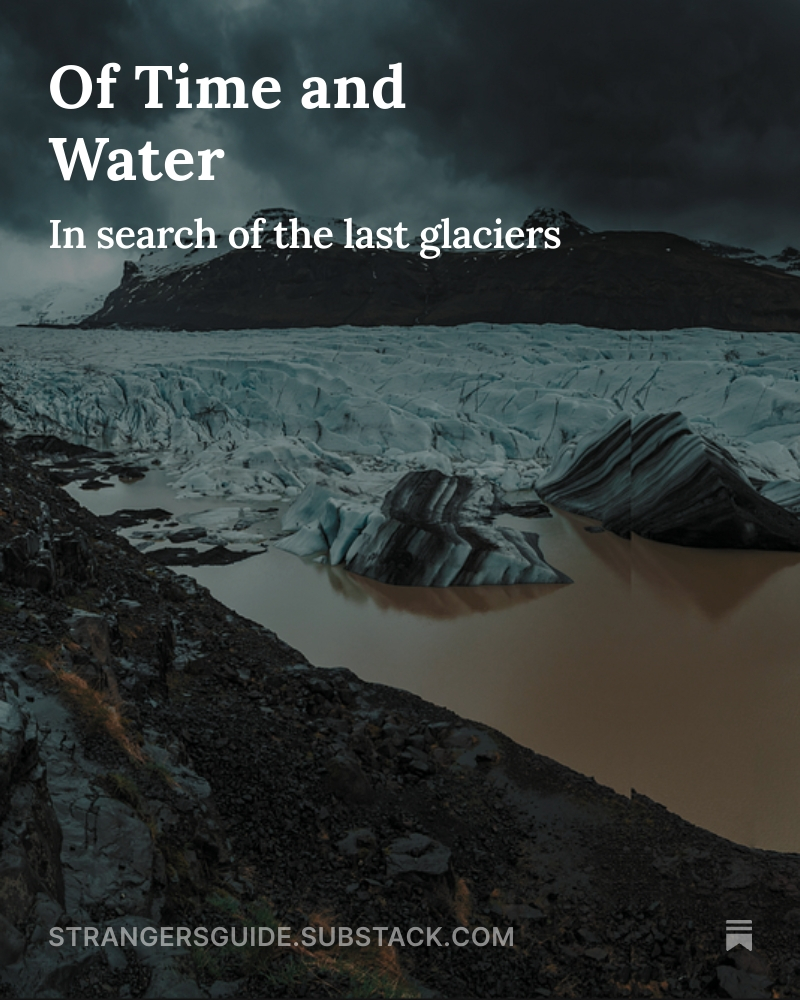 Stranger's Guide tweet media