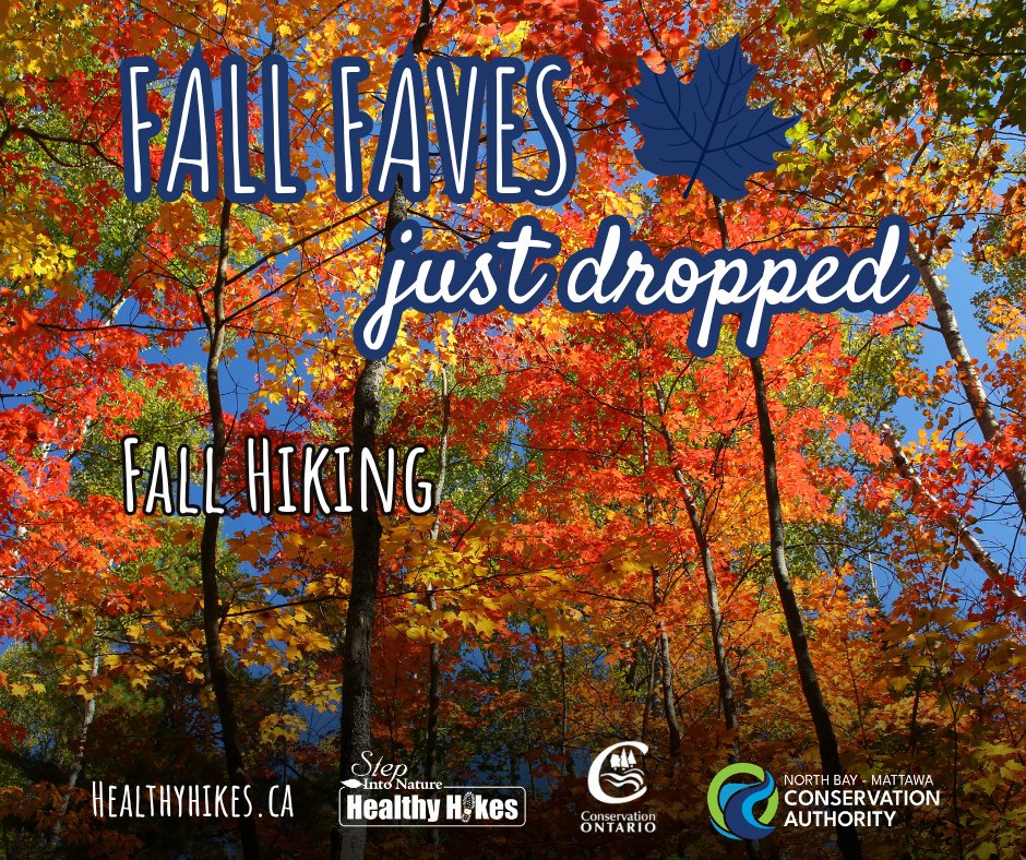 The fall colours may have faded, but Ontario’s Conservation Areas are still calling! 🍂

Lace up your boots and enjoy crisp trails, peaceful forests, and the quiet charm of late autumn.

🔗Discover one of 15 local #ConservationAreas today at nbmca.ca/conservation-a…

#HealthyHikes