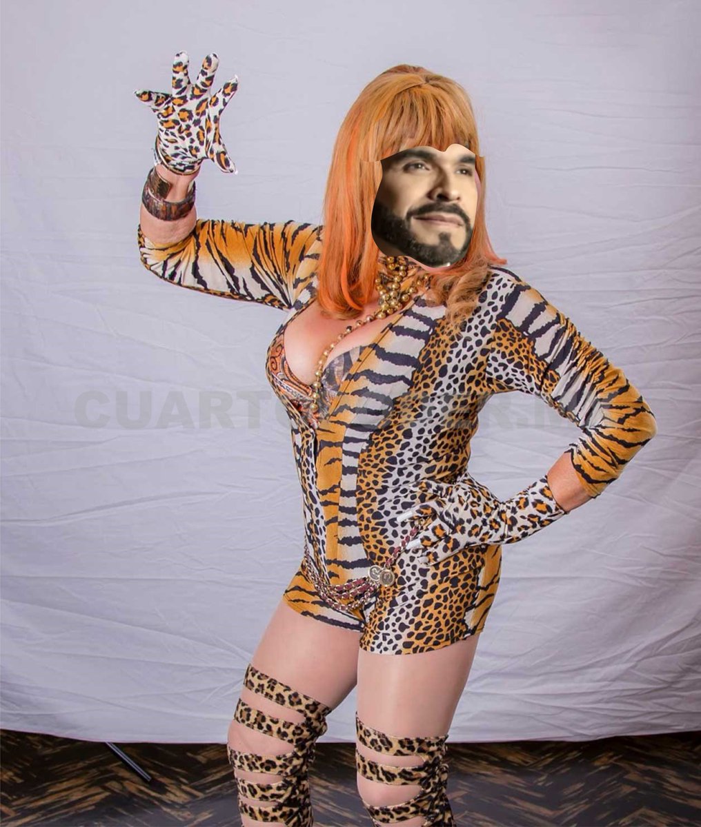 El tigre Abelardo impacta con su outfit.