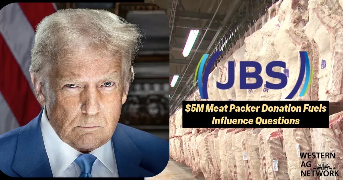 AgroVitaDotOrg's tweet image. Largest Trump inauguration donor? 

JBS ($5M)

Now Trump wants to quadruple Argentine beef imports to &quot;lower prices&quot;. Meanwhile, JBS just settled an $83.5M antitrust case for suppressing US cattle prices. 

If you like trump call this out

Packers are the problem not the ranchers