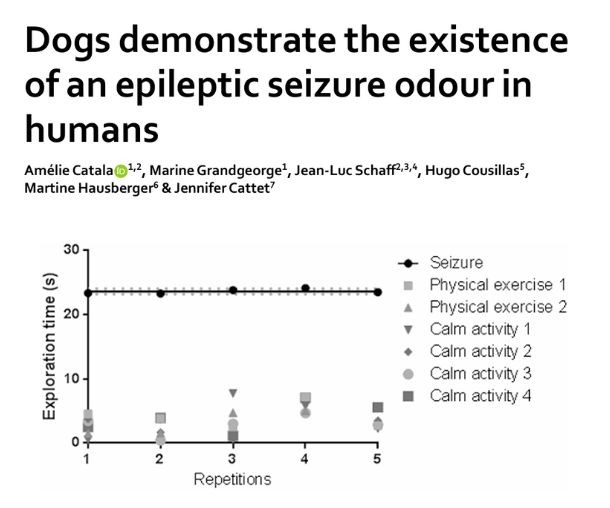 Can dogs detect seizures before they occur?

Here's what over 30 years of published research says and what it means for early seizure prediction and patient safety: