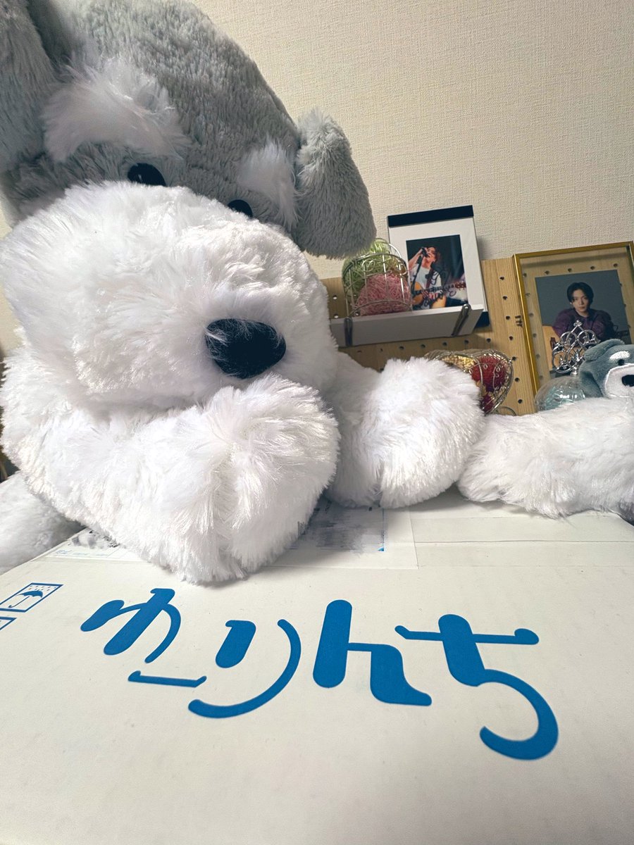 ゆうりんページ ゆん。 on X