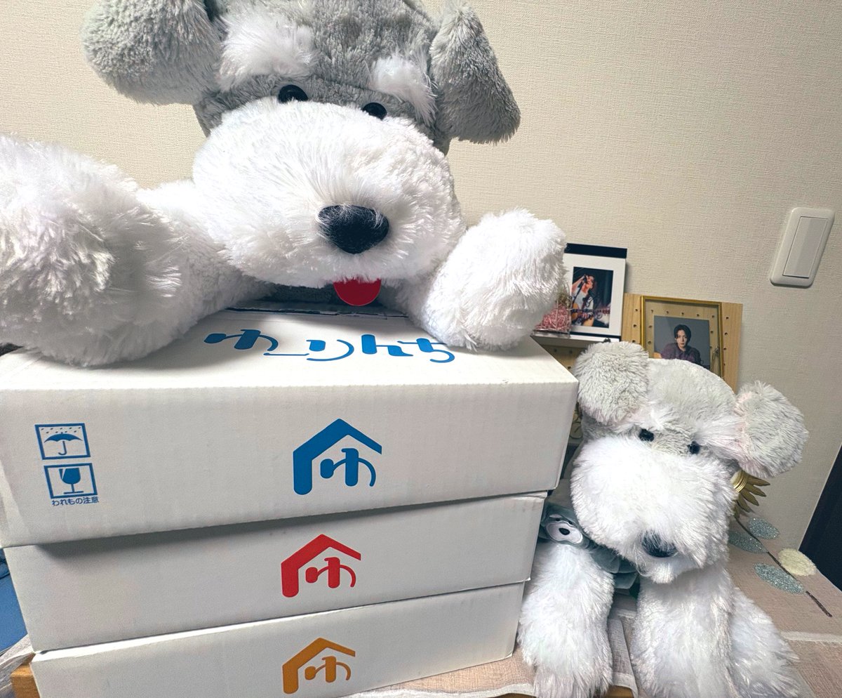 ゆうりんページ ゆずりん🩵🐾 on X