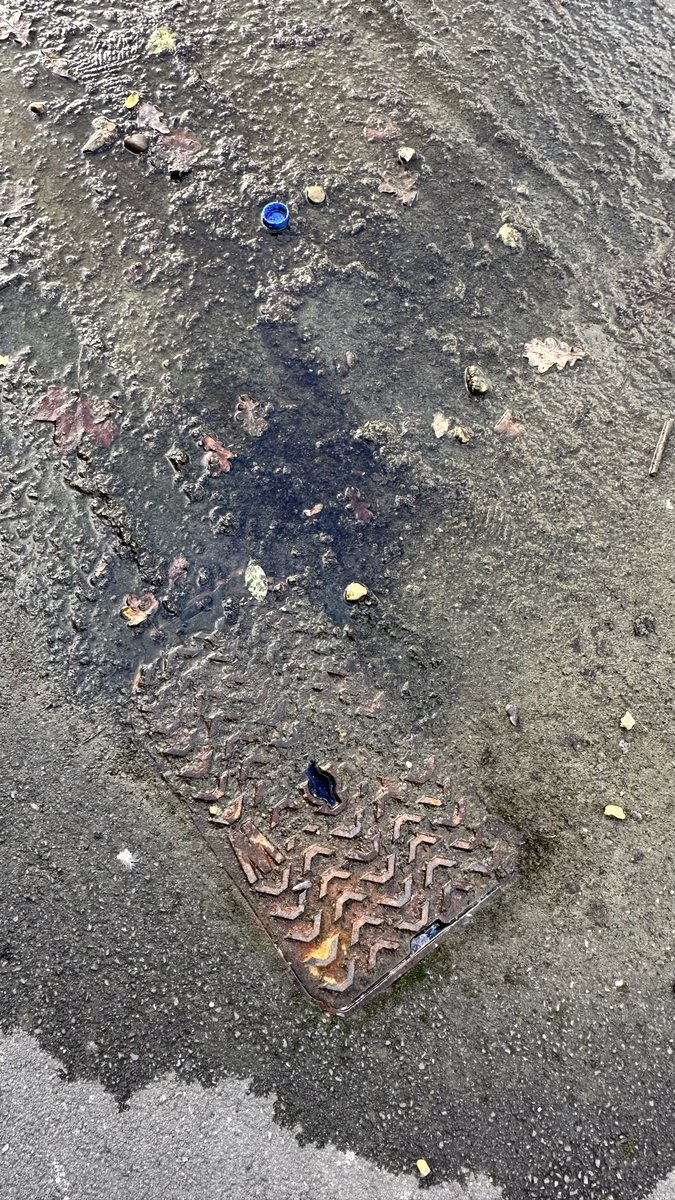 monicacoyne's tweet photo. @thameswater why do you think it’s acceptable to leave drains overflowing onto pavements? I’ve reported this twice but you’ve done absolutely nothing. https://t.co/D1YcGwGYH8