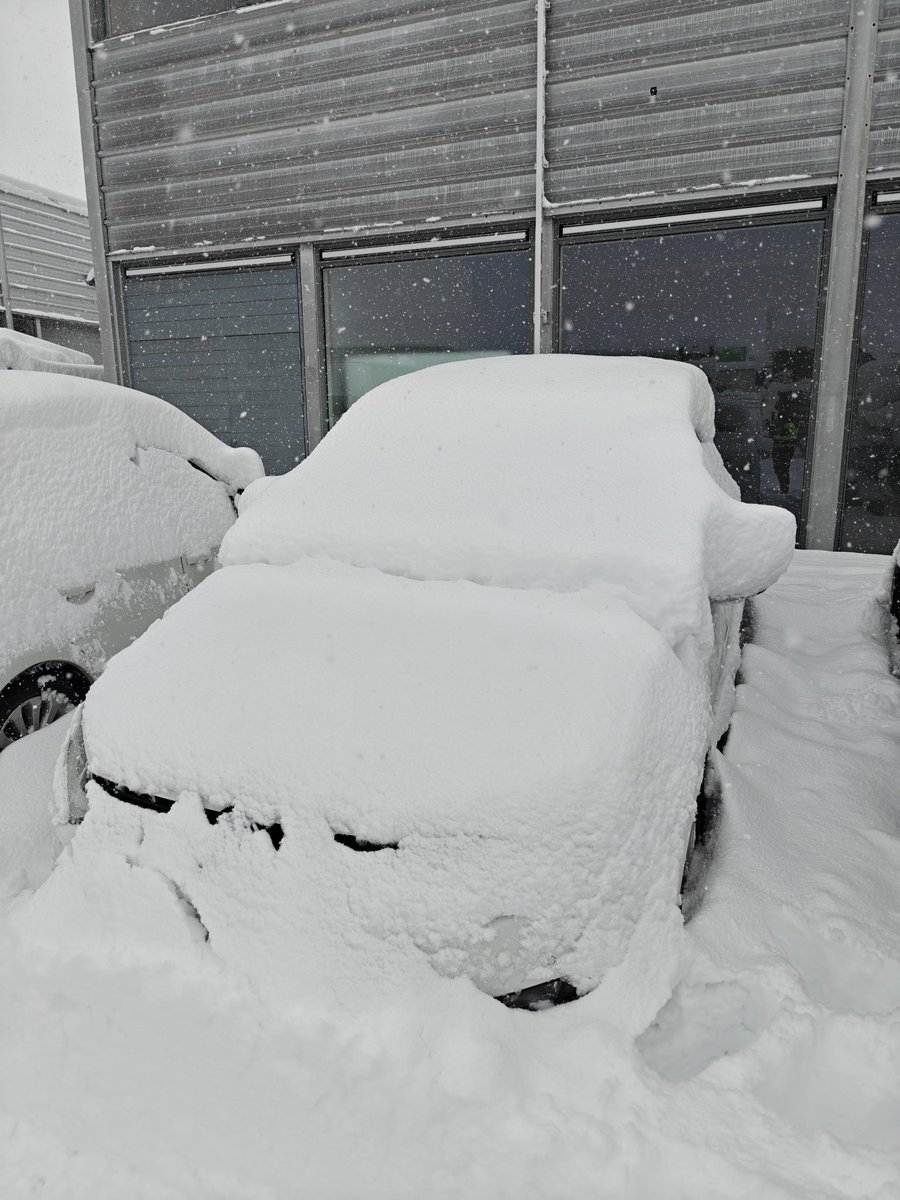 gmachineCS's tweet image. Time to go home
50cm snow after 7hrs 🙃