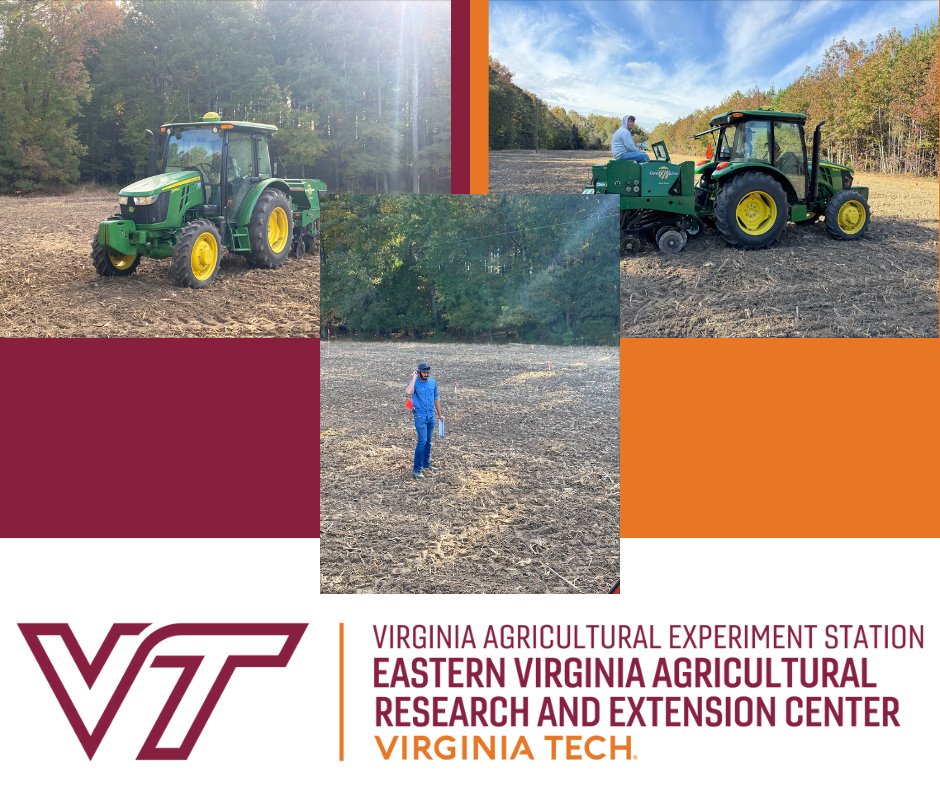 We planted three faba bean trials in King and Queen County including seeding rate, nitrogen, and weed management studies. This is part of a USDA-funded project focused on the introduction of faba bean as a winter seed crop with benefits for the Mid-Atlantic cropping systems.