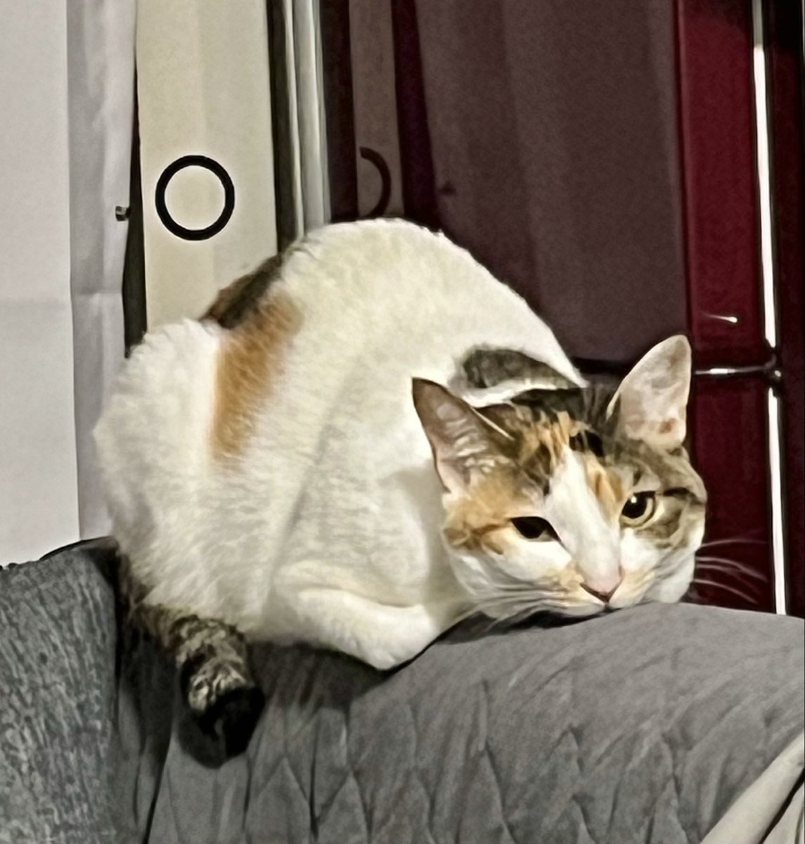 今日も眠れないえん￥ on X