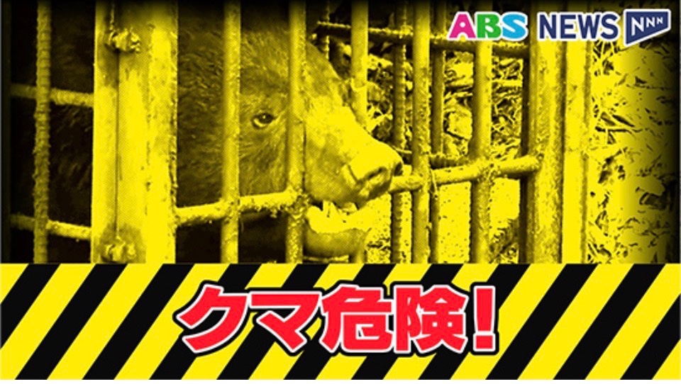 🐡泰ニキ📱📶 on X