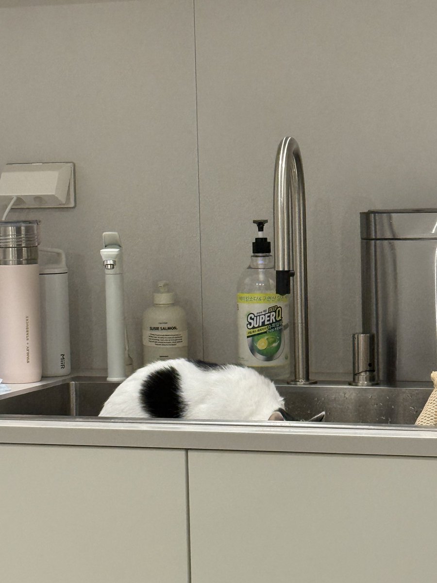 with_mgrk's tweet image. 뭐 하세요