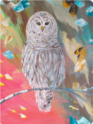 InessaW29's tweet photo. https://t.co/QjS8z5mBuq
"OWL" Original PAINTING Gift ART Acrylics IMPRESSIONISM COLLECTABLE UK Artist
#MHHSBD #Owl #OriginalArt #painting #snow #WINTER #4kids #forest #birds #xmasgift #Romance #gifts #walart #interiordesign #gifts #presents #Bright https://t.co/XHfmX0A8bT