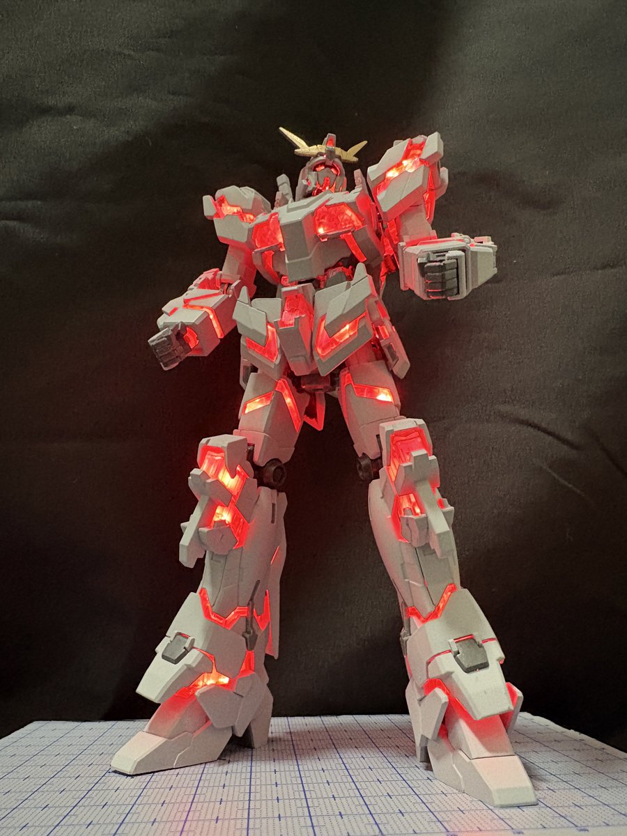 Bear-Rider (@BearTwRider) / Posts / X