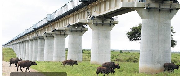 Gold be roaming waiting