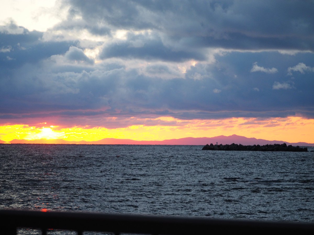 海の風景 海獣先輩 on X