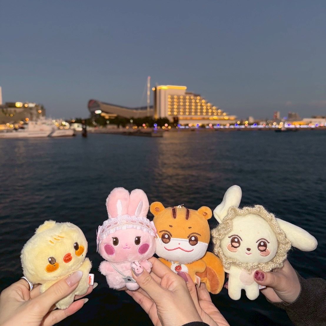 A_Zhehe's tweet photo. 神戸⚓️
もうみんなに会いたい𓈒⟡₊⋆∘˚⊹ ࿔ https://t.co/nxOOFyRNAY