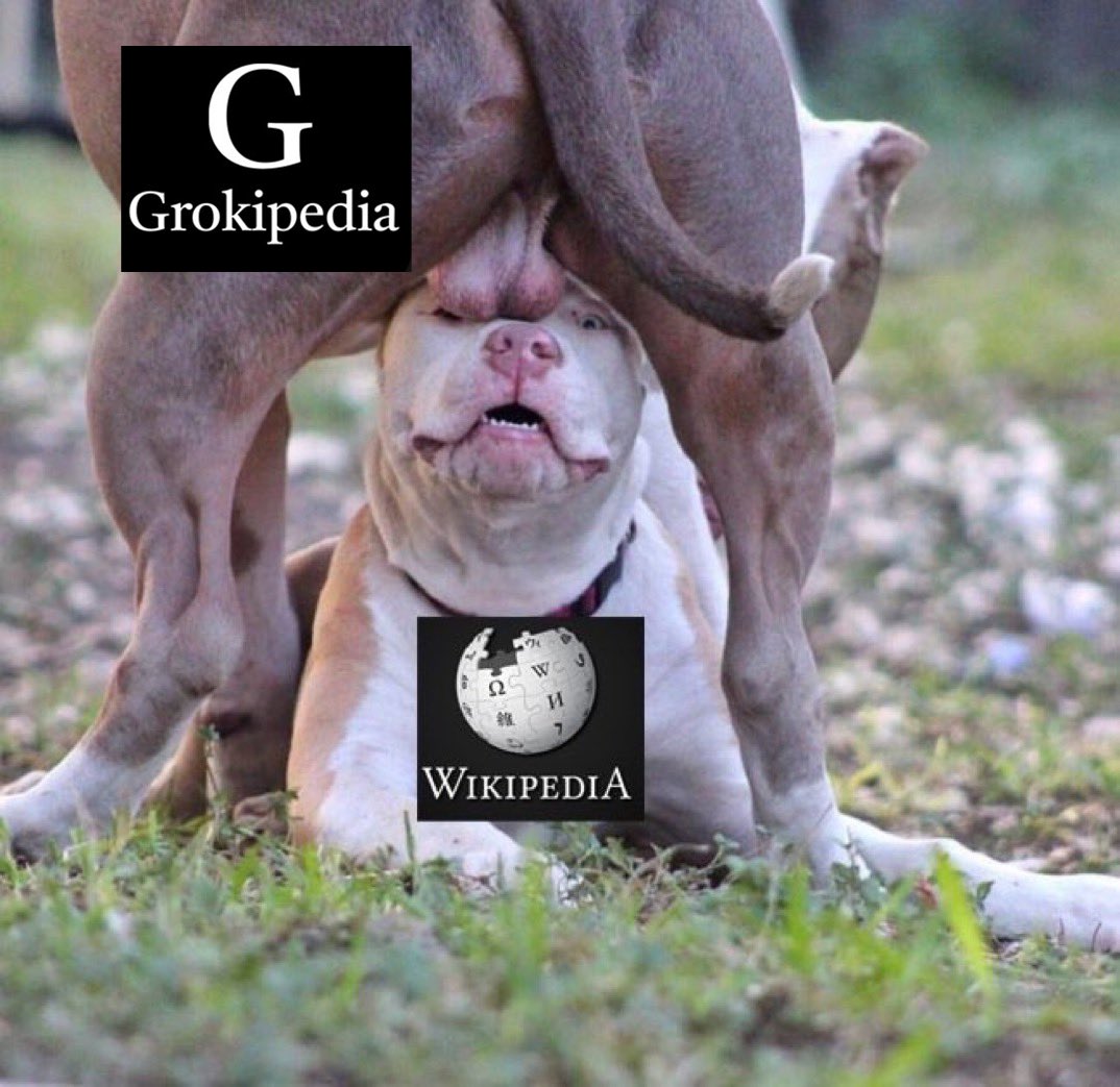 DogeDesigner tweet media