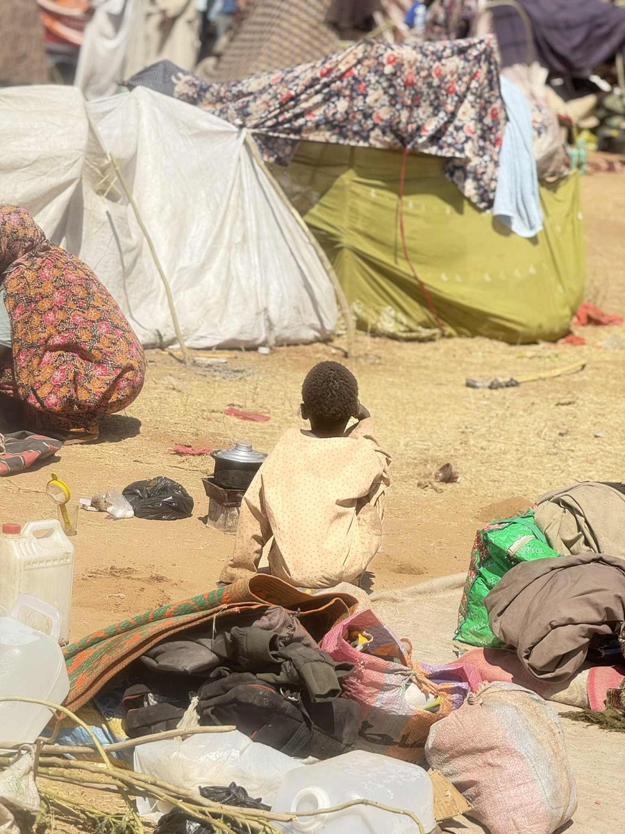 Sudan_tweet's tweet photo. صور تعكس معاناة أهالي #الفاشر الفارين من جحيم الجنجويد، عقب وصول معظمهم سيراً على الأقدام إلى منطقة طويلة.
#السودان https://t.co/0Lo3L0qR0j