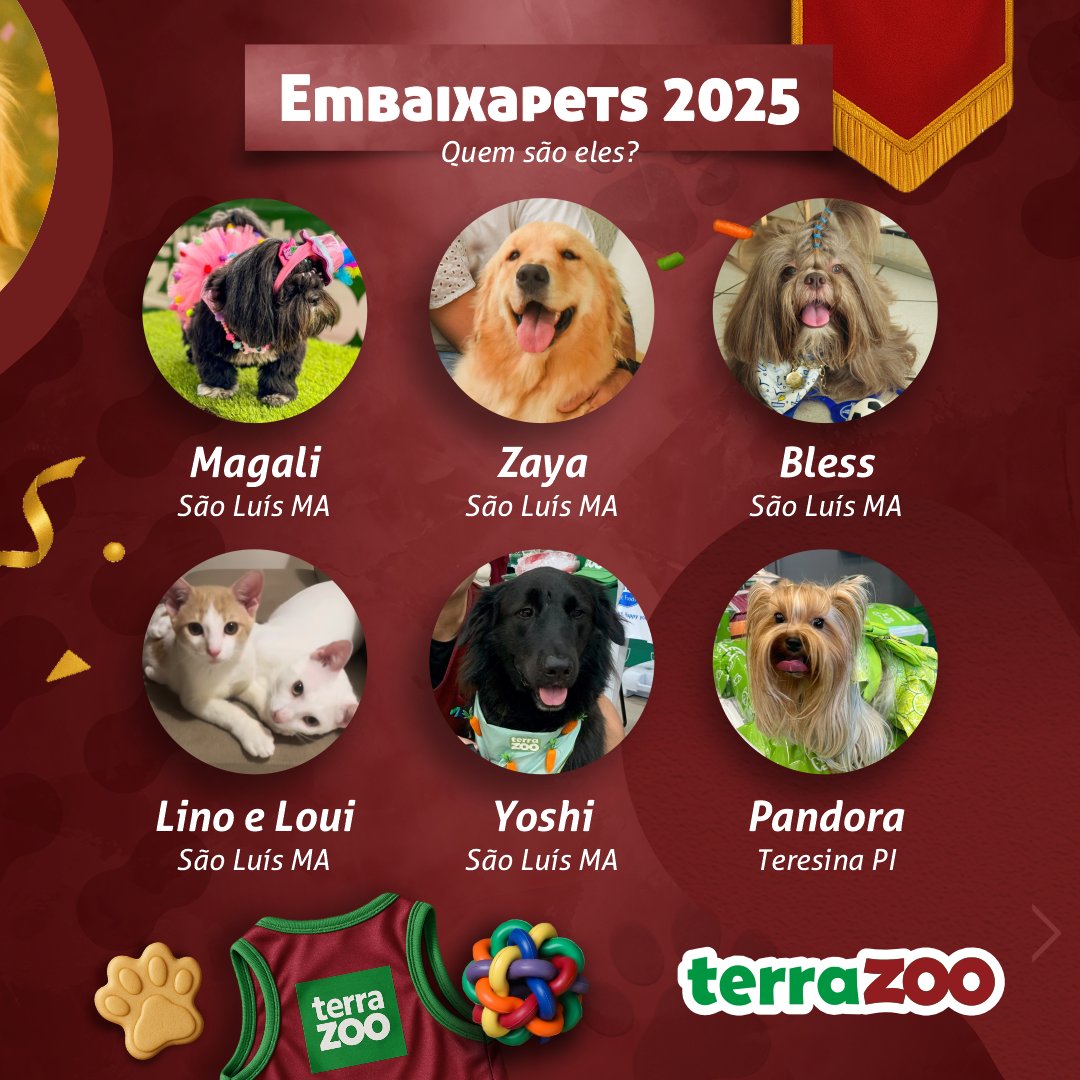 Terra_Zoo's tweet photo. Eles espalharam amor e felicidade na edição 2025💚
Agora é hora da despedida! 🐾
📍 Terra Zoo Calhau
🗓️ 01/11 | ⏰ 09h–12h
Entrada gratuita!

Vem se despedir dos Embaixapets com a gente! 🎉 https://t.co/g8GMBEC9j9