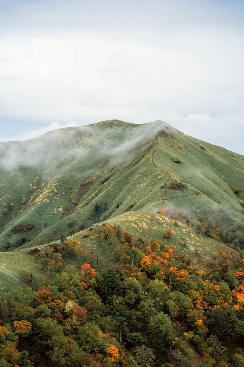 poolo_climbing's tweet photo. 10月は剣山（徳島県）と石鎚山（愛媛県）

どちらとも日本百名山！！
石鎚山は西日本最高峰⛰

初めましてのメンバーも、初登山のメンバーも、
いつもの顔ぶれも全員が楽しむことができた紅葉登山🍁

山に少しでも興味があるなら一緒に登ろう！
あなたの登山口はもう目の前！ https://t.co/DOGnFMIesG