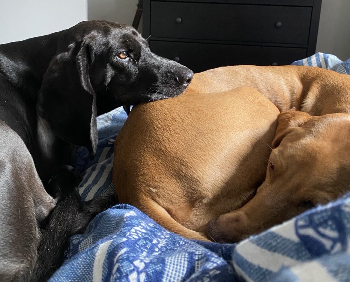 According2Taz tweet media