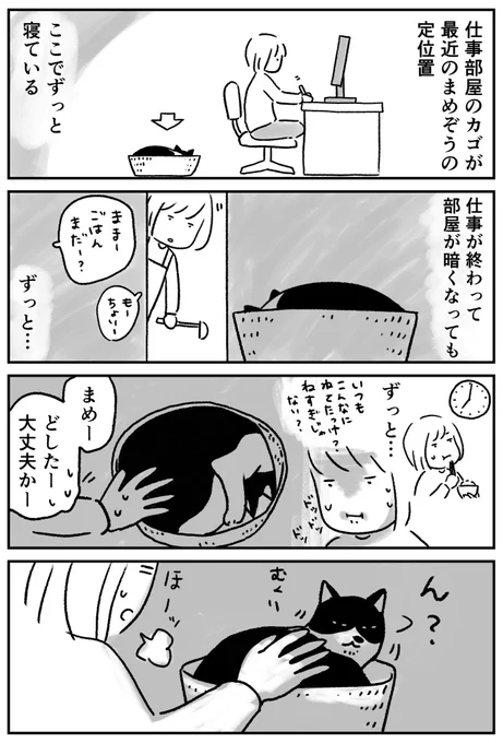 #第5回猫コミ新人賞 