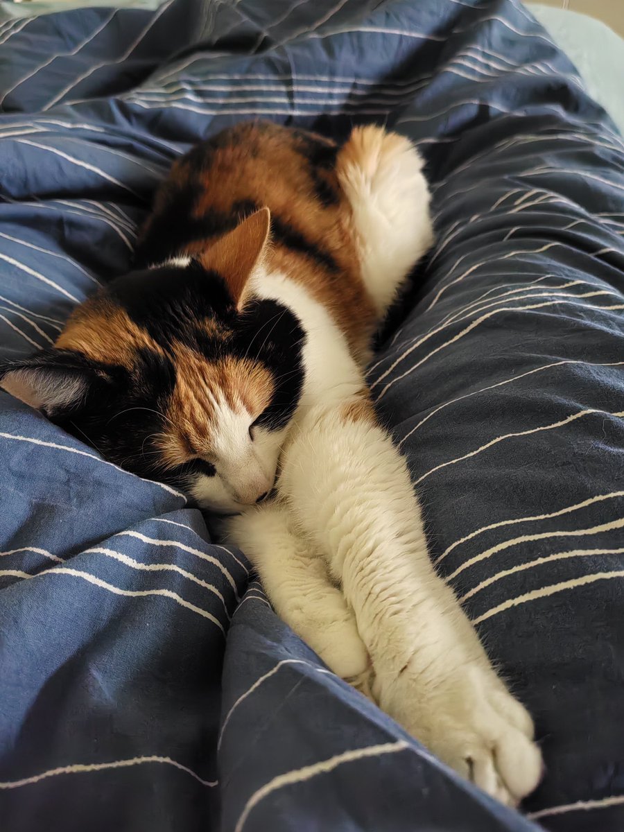 Уже два часа я не могу встать и пойти на работу. Да даже поесть не могу встать! 
Она же хорошенькая, как я ее побеспокою