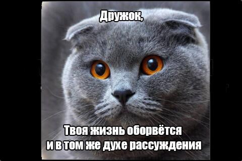 JoyteriF's tweet photo. https://t.co/69mryNzIAF