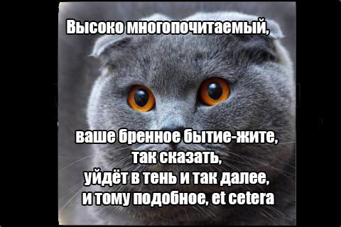 JoyteriF's tweet photo. https://t.co/69mryNzIAF