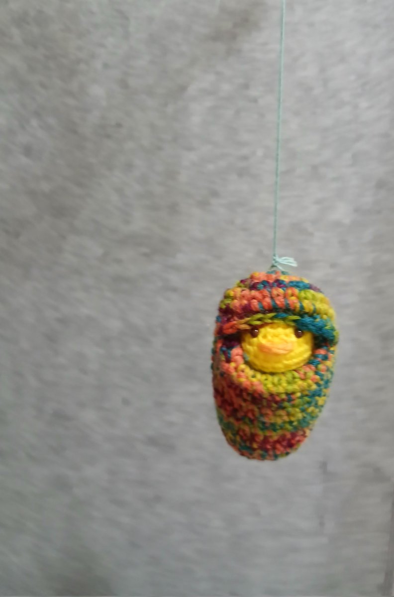 ニヒル牛くじ展。
ひよこが誘惑してきた。寝袋ちゃん。ミノ虫みたいで可愛いから紐そのまんまで吊るした。いつか蝶々になっちゃいそう。