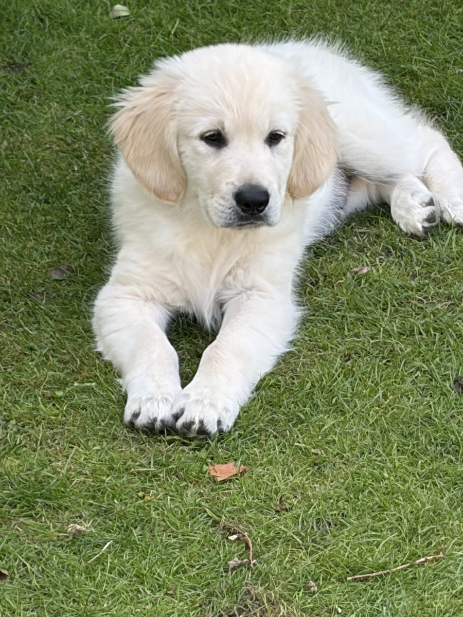 Quiet Storm tweet media