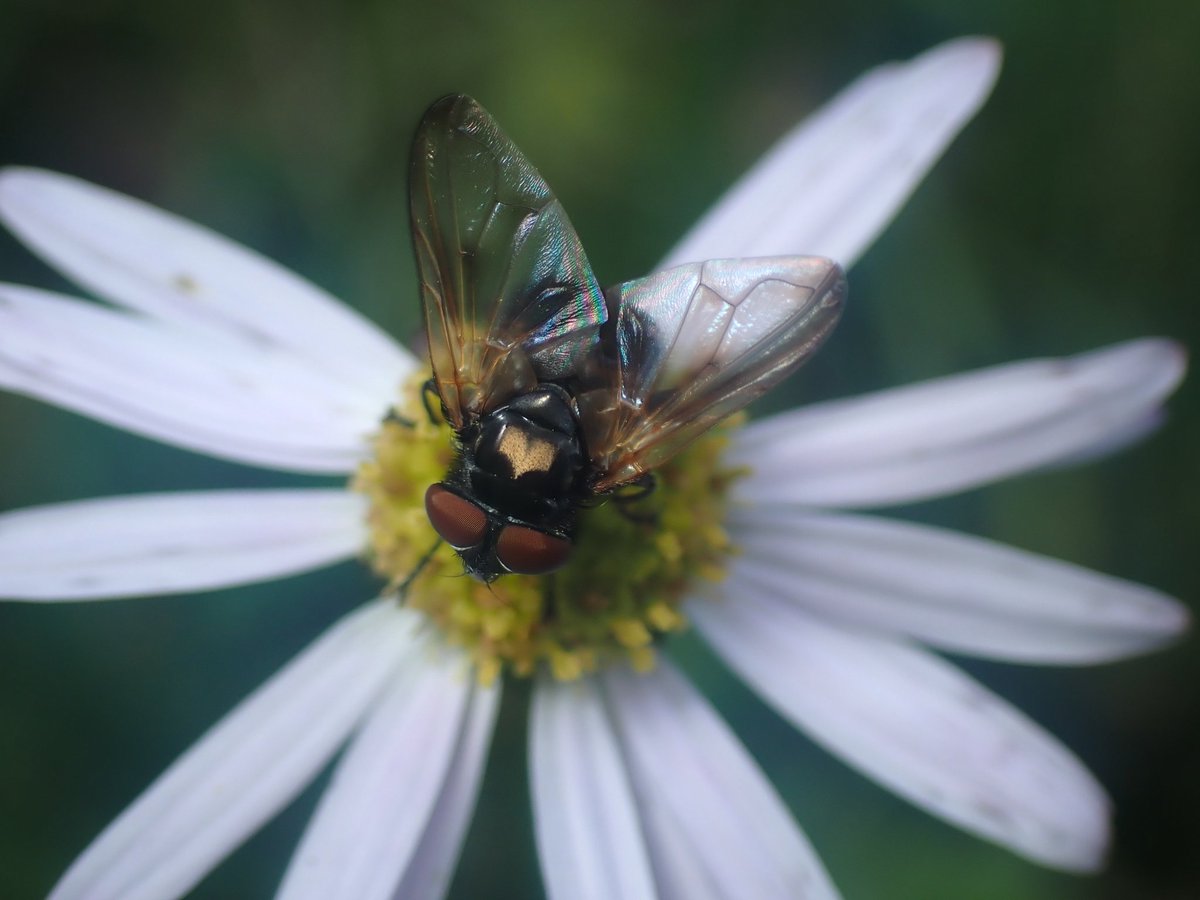 小須田 貴延 on X
