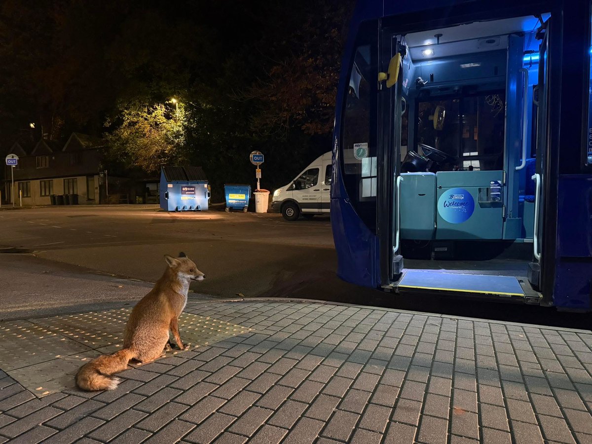 Burrows Coaches tweet media