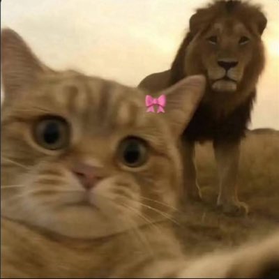 kbrakk353's tweet photo. #NewProfilePic https://t.co/Z8lWrND8Un