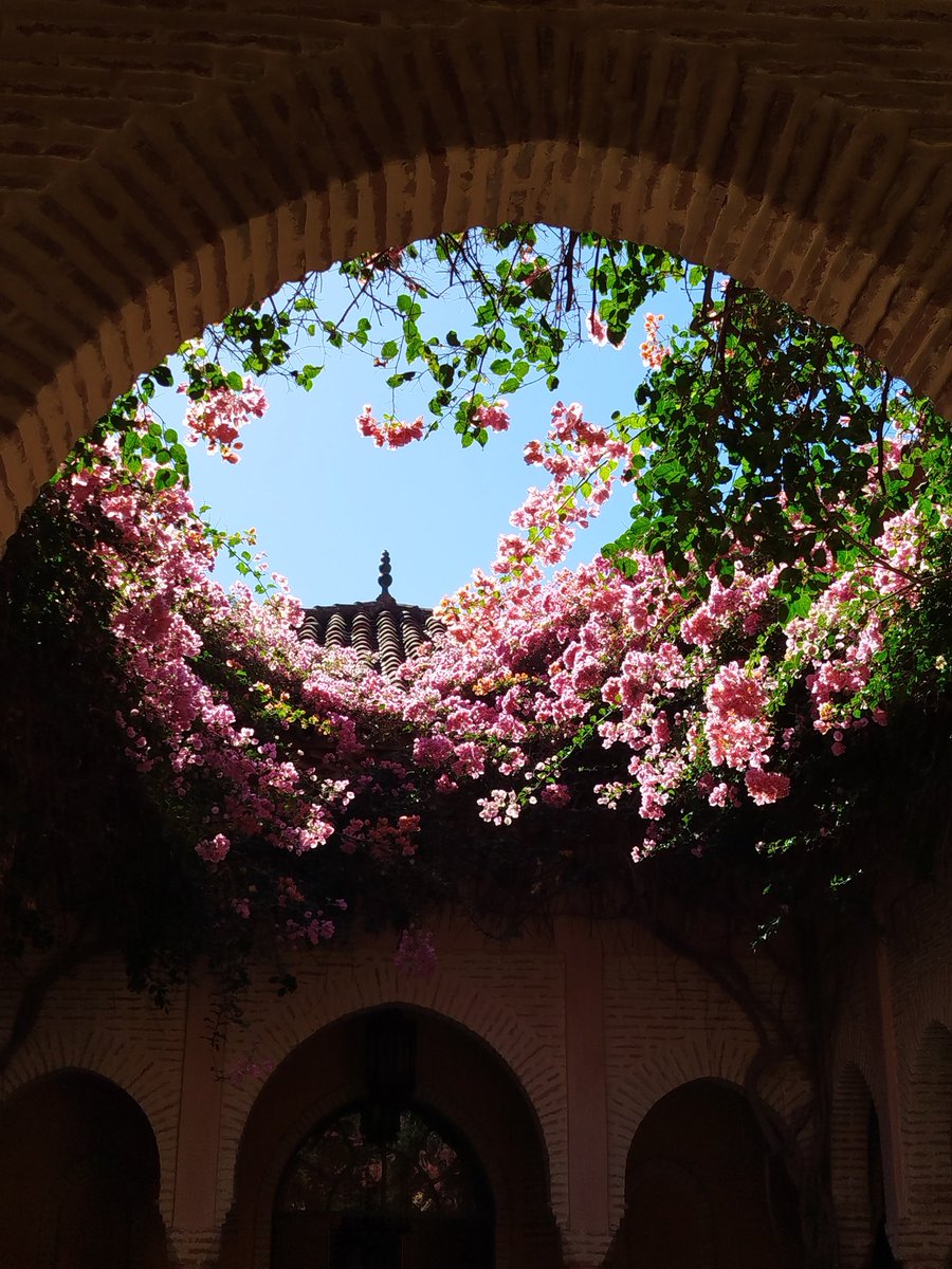 Mxlxfxmx_'s tweet image. 🎞️🎬🎥

💅🏽🏌🏽‍♀️