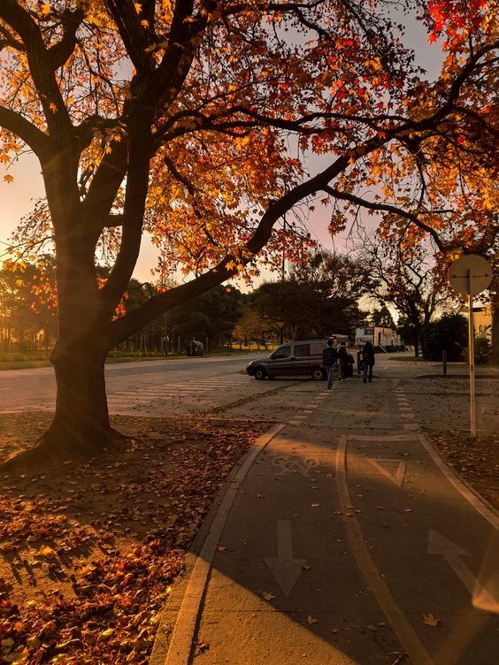 talya9646171863's tweet photo. Streets in autumn https://t.co/jBCs0qqJAr