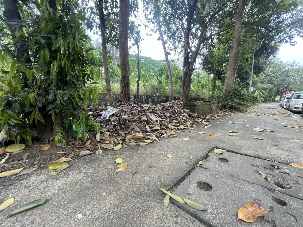 mariakauriam's tweet photo. Giant piles in #Sector1 #Sanpada right now, and what @NMMConline and @AmcWard97160 are doing instead of sending an excavator and a truck? https://t.co/JPB4CbVg0W