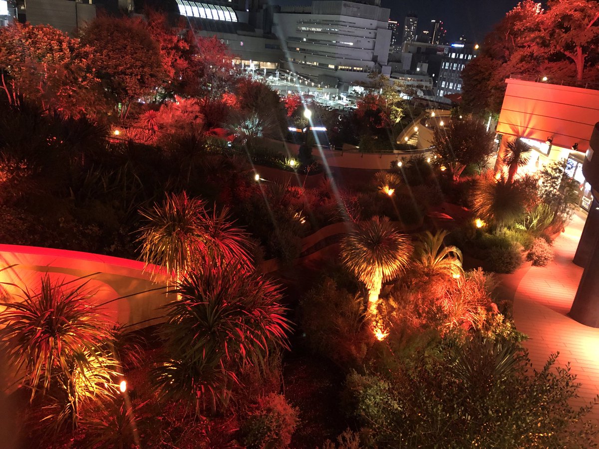 粗布 豪栄道 おしず on X