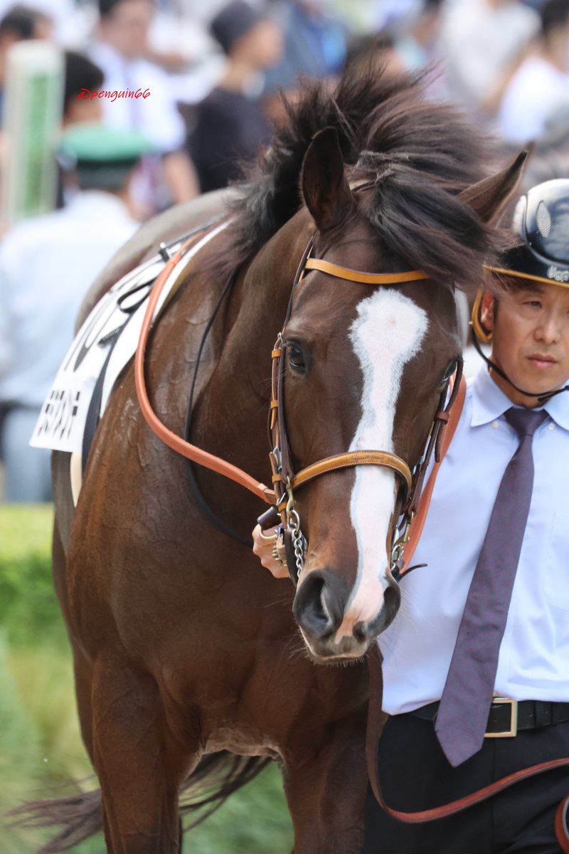 ぺんぎんさん🐧 on X