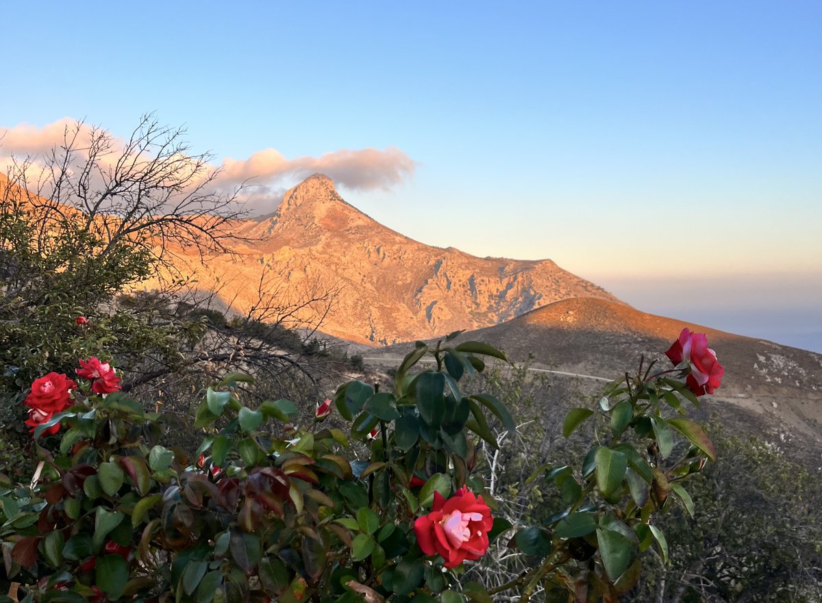 📢#Asterousia Hybrid University 2025-2026 🏞

📅29-31 October 2025 📌#Crete 🇬🇷

Organised by <a href="/UNESCO/">UNESCO 🏛️ #Education #Sciences #Culture 🇺🇳</a> and <a href="/Mio_Ecsde/">MIO-ECSDE</a>, this year’s edition will explore integrated #heritage-based approaches for #BiosphereReserves in the #Mediterranean.🏛️🌍

ℹ️unes.co/ky3x0v